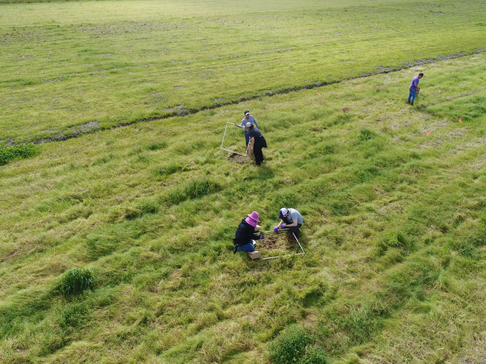 LSU AgCenter to host soil health forum March 17